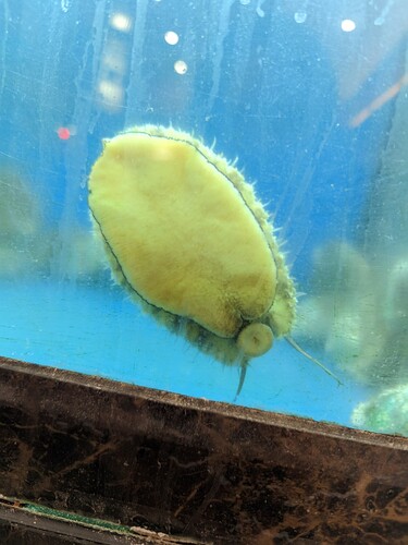 CRnall_20250113_132858511