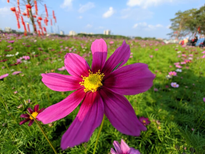 CRall_20240213_162455497