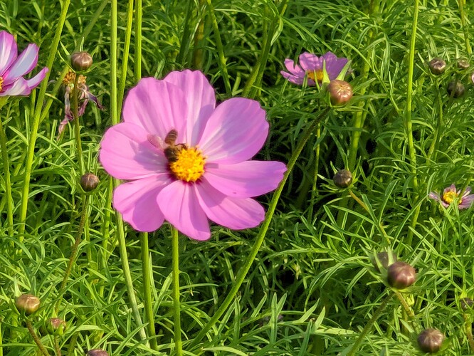 CRall_20240213_163218589