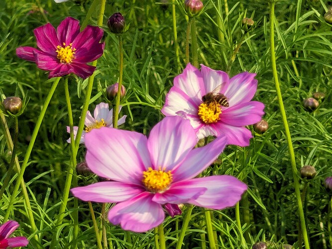 CRall_20240213_163237075