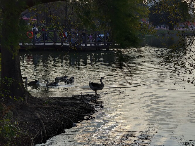 CRall_20240213_171425290