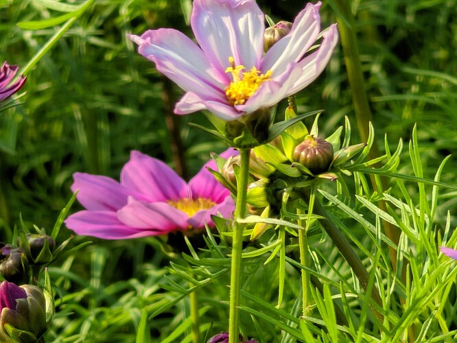 CRall_20240213_162535760