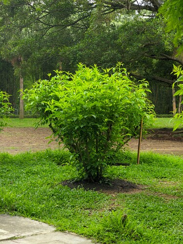 CRnall_20250501_131502023